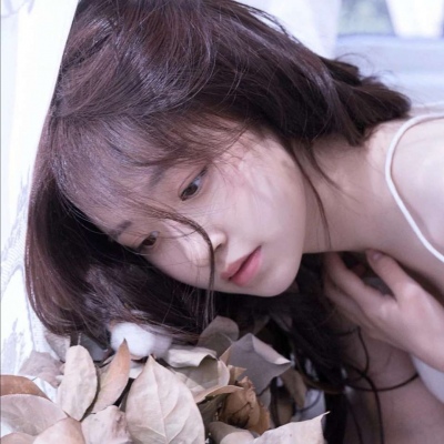 觅圈官方登录通道｜电脑版+手机版无缝体验