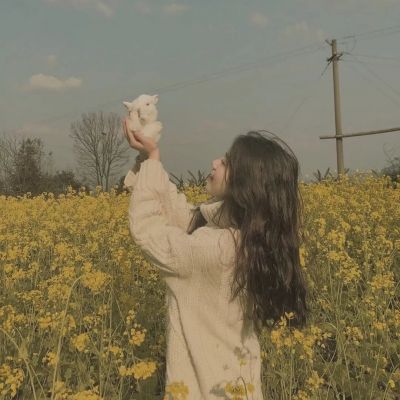 觅圈官方登录通道|电脑版+手机版无缝体验